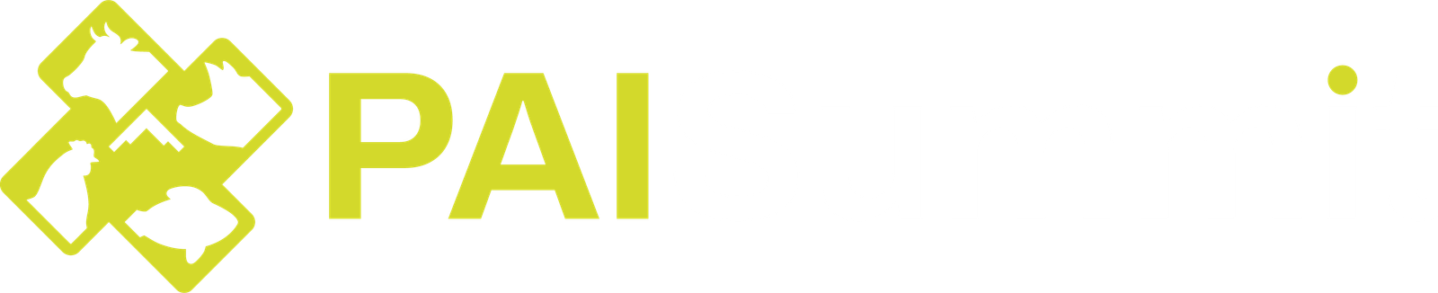 Logo PAI SUMMIT INTERNACIONAL 2025
